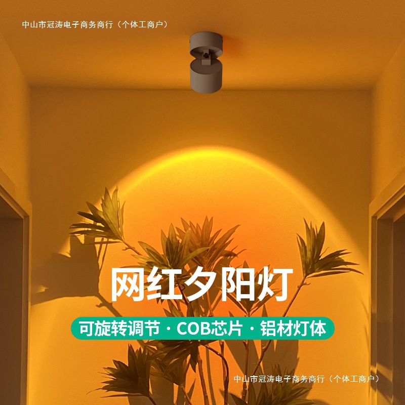 Накладной точечный светильник, без солнечного света, стеновой светильник, регулируемый угол, для гостиной, входного холла, атмосферный свет для картин, освещение магазина