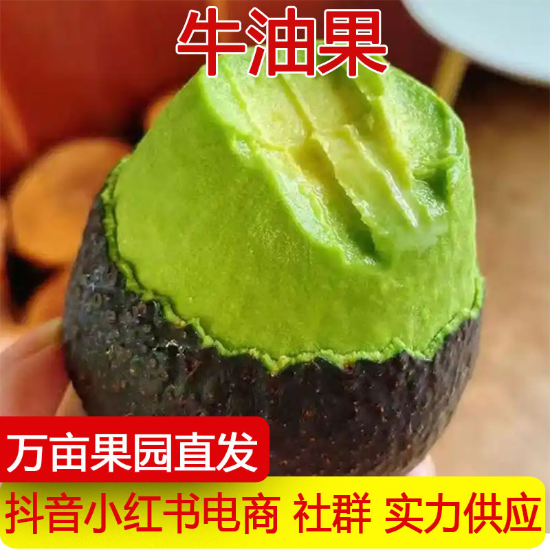 Популярный импортированный авокадо, крупный фрукт, кремовый, свежий фрукт, дропшиппинг