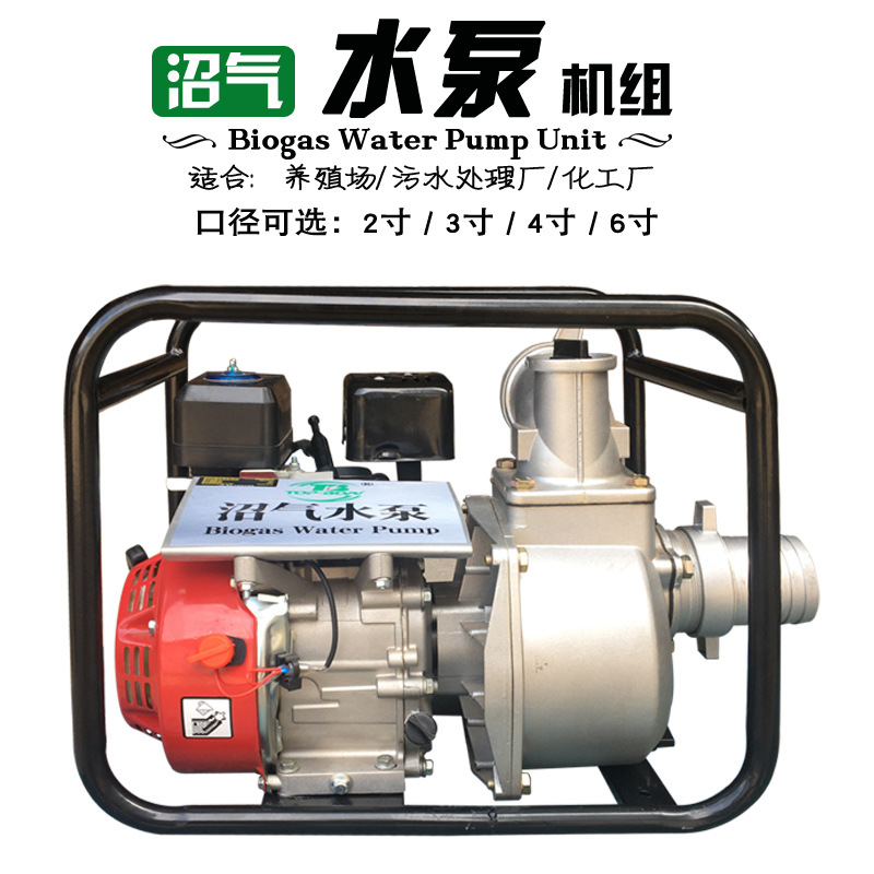 Биогазовый водяной насос 3 дюйма, насос для полива 2 дюйма, специальный насос для полива 4 дюйма