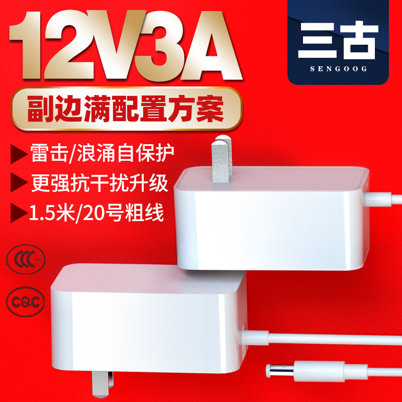 High Quality 12V3A Power Adapter 3C Certified Hair Removal Instrument Beauty Instrument Massager Special Power Adapter