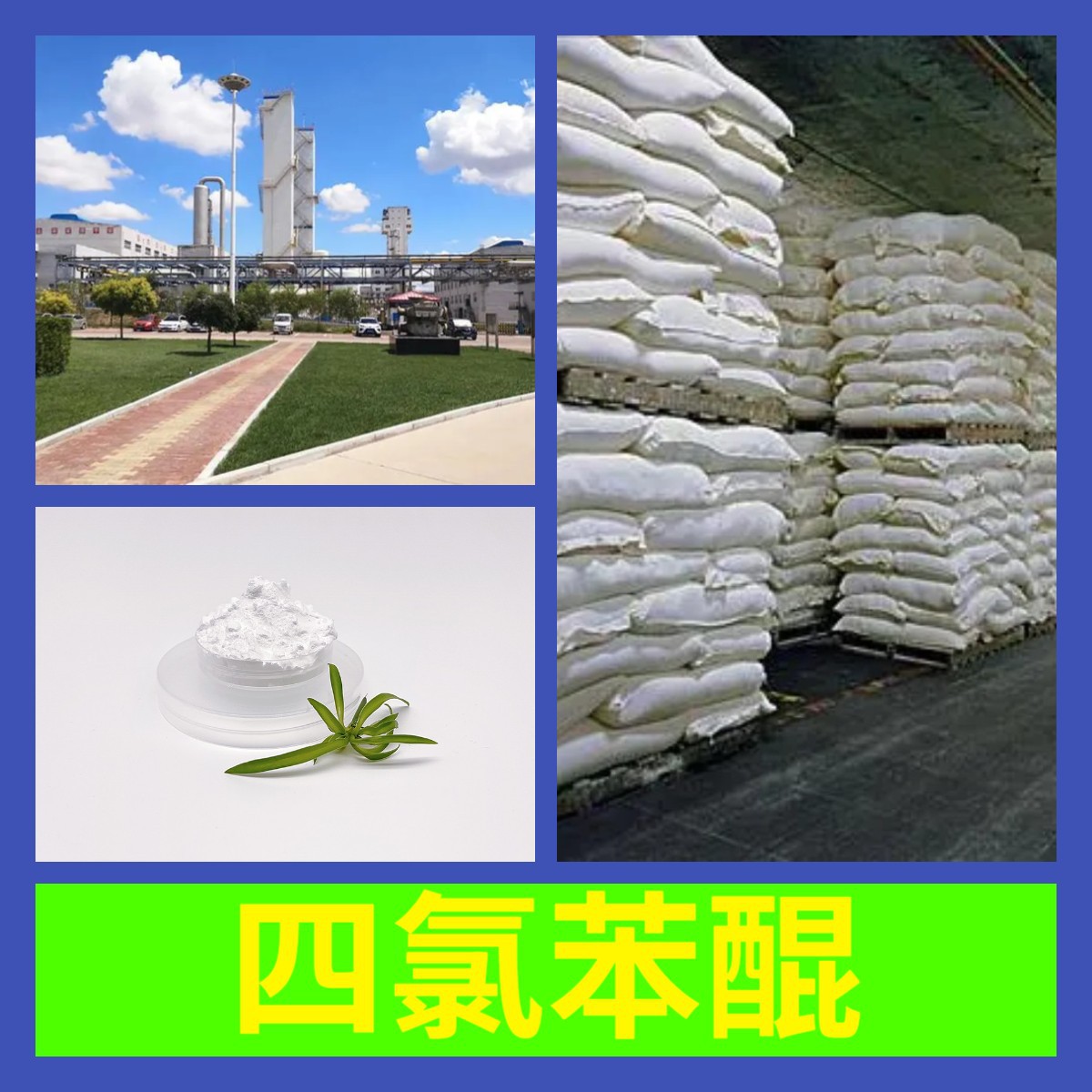 тетрахлорохинон, прямой телефонный звонок, полный ассортимент, доставка по всей стране, ответ в Wechat в течение 1 минуты, быстрая доставка в Шанхай