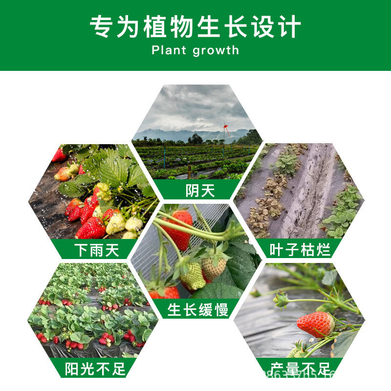 Plant Growth Lamp Led Lamp Strawberry Fill Light Full Spectrum Seedling Temperature Heating Lamp Vegetable Greenhouse Greenhouse Lamp Beads