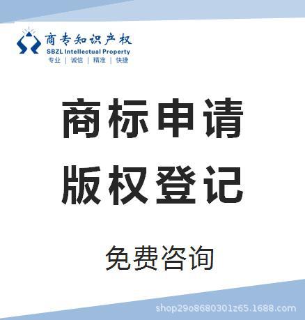 Copyright Infringement Monitoring