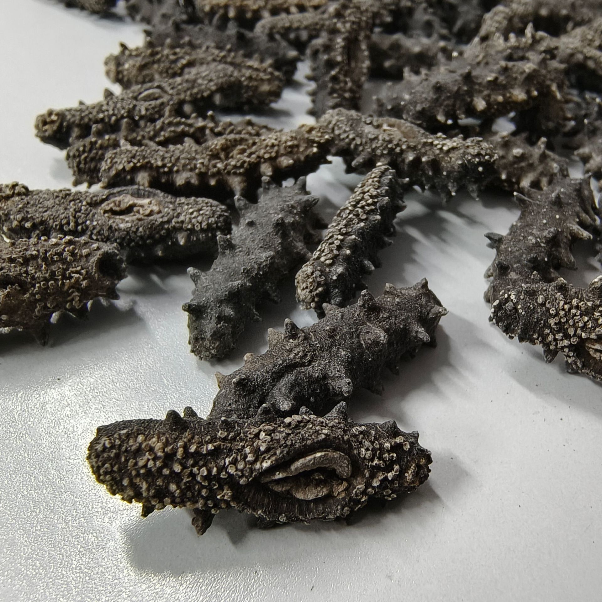 Source Wholesale Light Dried Sea Cucumber Special Price Small Sea Cucumber Dry Goods Liao Sea Cucumber Non-Ready-To-Eat Sea Cucumber Gift Box Live Broadcast on Behalf of