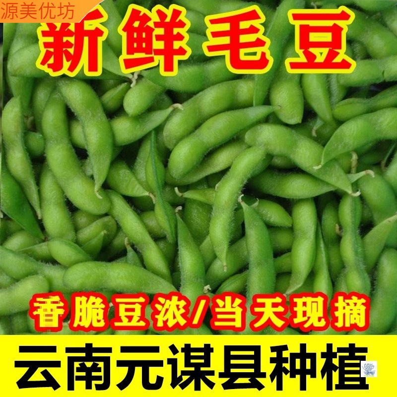 Fresh Shelled Edamame from Yunnan, Freshly Picked Green Beans, Tender Green Bean Pods, Farm-Grown, Whole Box with Free Shipping