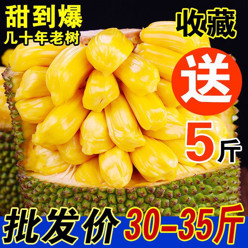 Hainan Sanya Jackfruit, a Whole Fresh Fruit, Seasonal Yellow-Fleshed Jackfruit, Wholesale Whole Box, Free Shipping