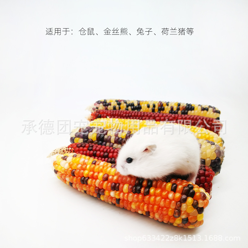 2024 New Mini Corn Hamster Snacks Rabbit Chinchilla Guinea Pig Pet Toy Rabbit Teething Stick