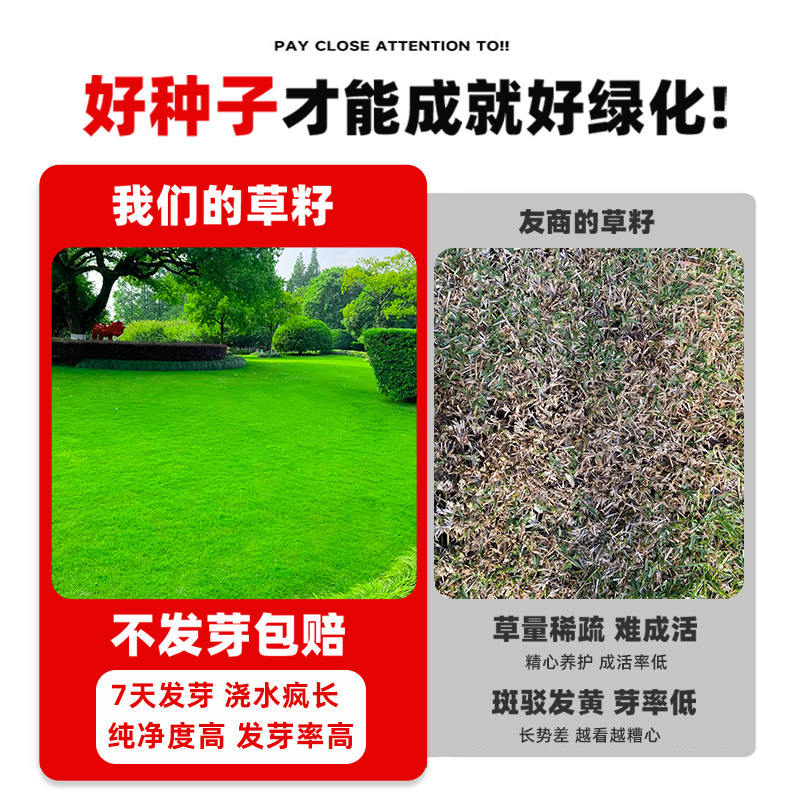 Four-Season Green Lawn Seeds, No-Pruning Lawn Grass Seeds, Slope Protection, Soil-Fixing Mixed Sowing, Four-Season Evergreen and Cold-Resistant Dry Grass Seeds