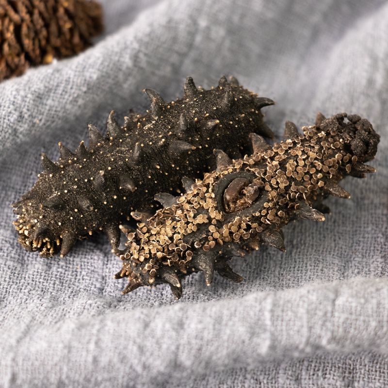 Dalian Pure Light Dried Sea Cucumber Dry Goods Wholesale Deep Sea Bottom播廖 Sea Cucumber Bulk Seafood Aquatic Dry Goods Gift Box Commercial