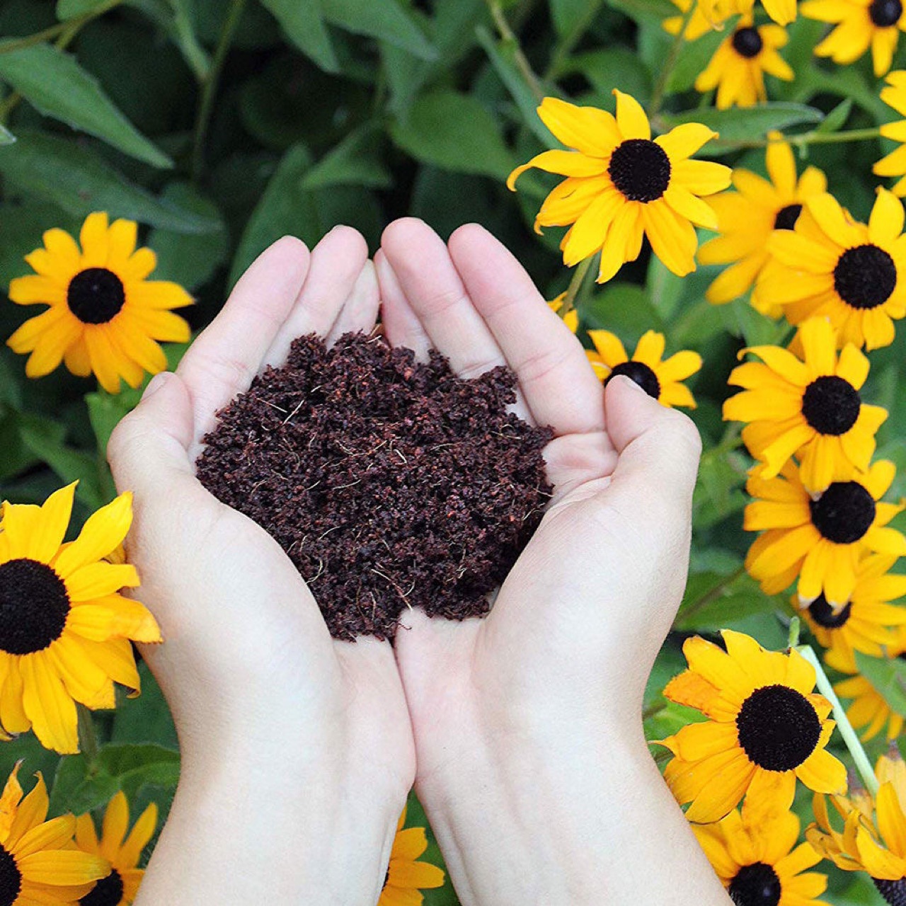 Cat Planting Shredded Coconut Compressed Coconut Bran Nursery Block Coconut Cake Pure Coconut Bran Soil Medium Coconut Brick Fleshy