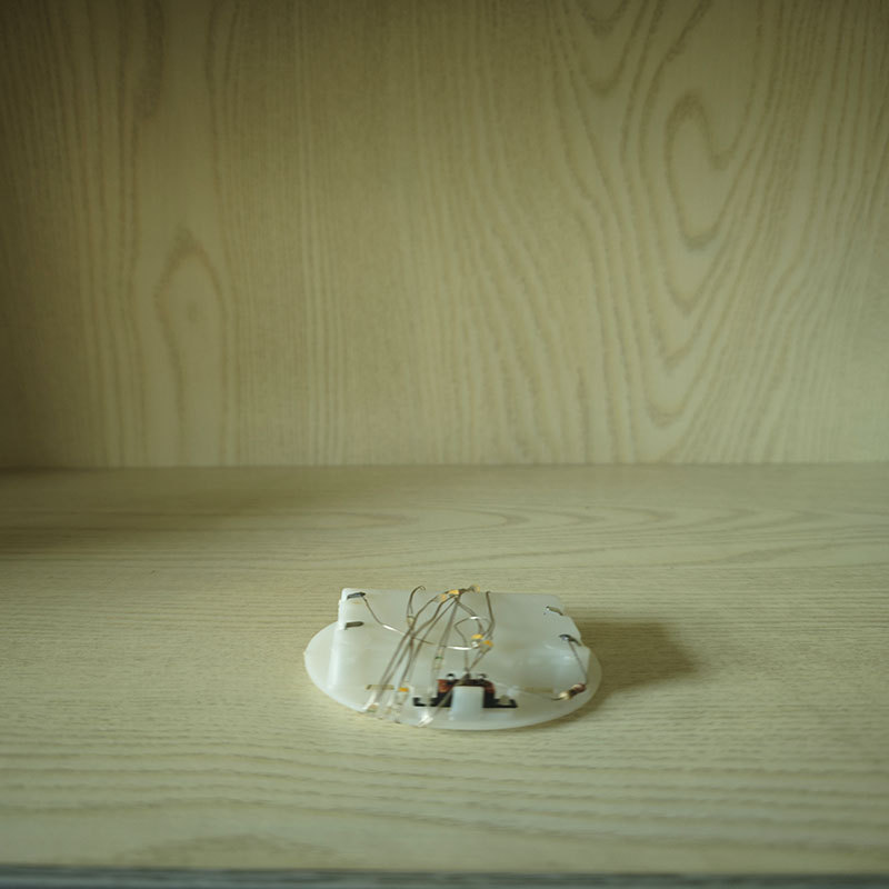 Foreign Trade Dustproof Glass Cover Manufacturer DIY Decorative Desktop Ornaments Transparent Micro Landscape Plastic Cover Immortal Flower Wholesale