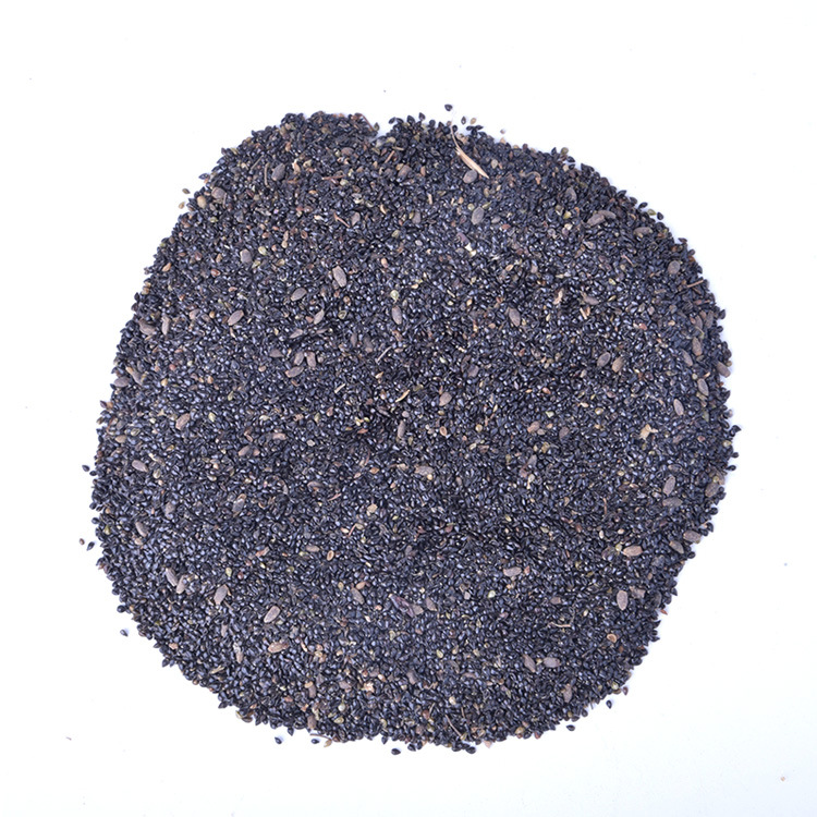 Forget-Me-Not Seeds, Perennial Flower Seeds, Forget-Me-Not Seeds, Easy to Grow in All Seasons, Garden Potted Flower Seeds