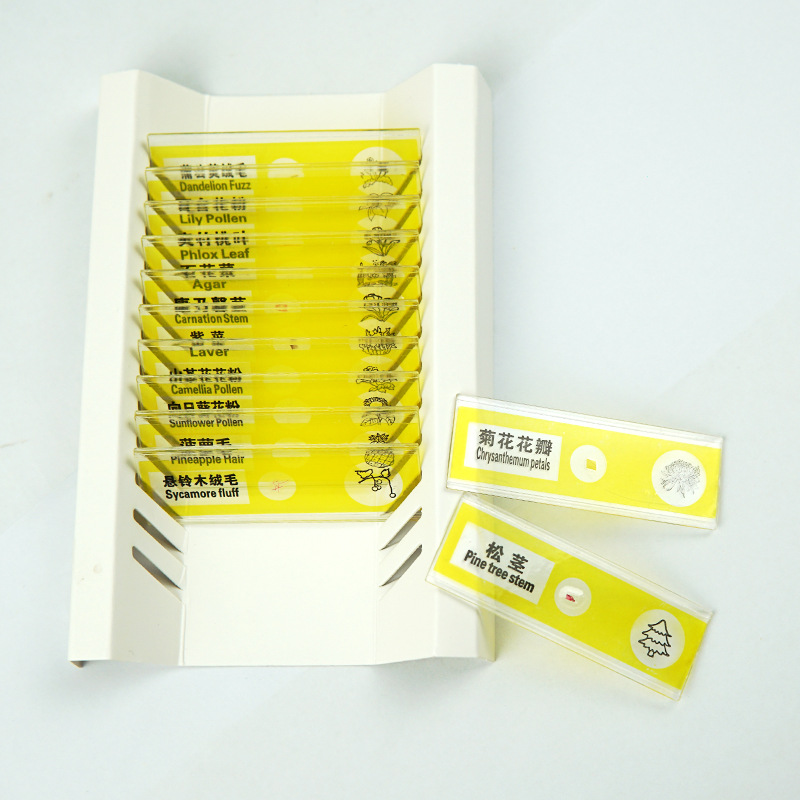 Microscope Kidsren's Plastic Slices Kidsren's Plastic Specimens Biological Experiment Slide Specimens 12 Pieces in a Box