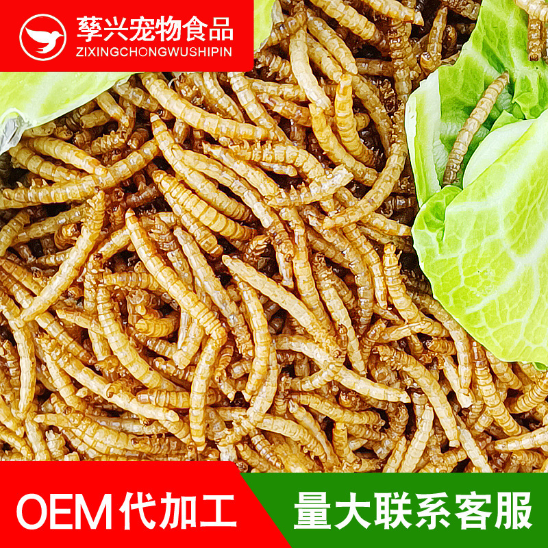 Оптовые товары для домашних животных, сушеные желтые порошковые насекомые, сушеные хлебные насекомые, корм для птиц, еда для шиншилл, закуски для хомяков, закуски для домашних животных из насекомых