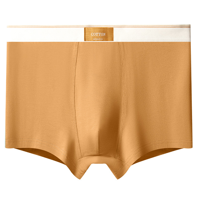 Men's Underwear Boys Pure Cotton Antibacterial Four-Corner Pants Cotton Underwear Men's Sports Breathable Teenager Boxer Shorts Head