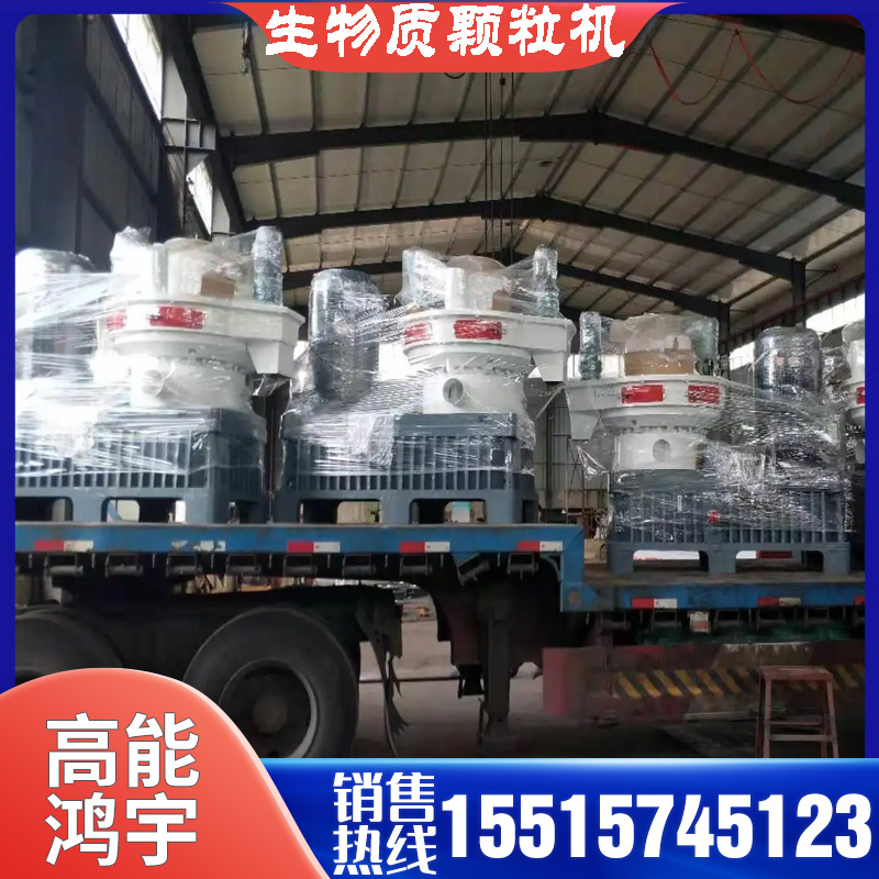 Large Ring Mold Raw Material Granule Machine Sawdust Straw Sawdust Straw Fuel Rice Husk Granular Production Line Equipment