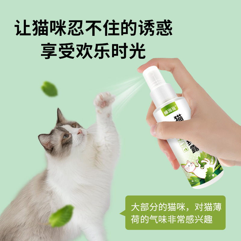 Catnip Spray Pet Cat Happy Water High Purity Catnip Spray Cat Induction Spray Cat Nest Perfume Spray