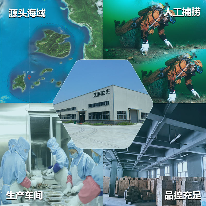 Canadian Sea Cucumber Ready-To-Eat Sea Cucumber Wholesale Russian Sea Cucumber Imported Wild Icelandic Arctic Red Ginseng Zero Addition