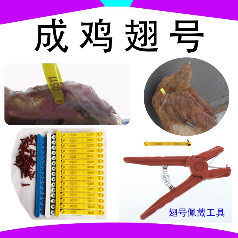 Код для птиц: кольца для куриных крыльев, кольца для птичьих лап, минимальный заказ 1000 штук