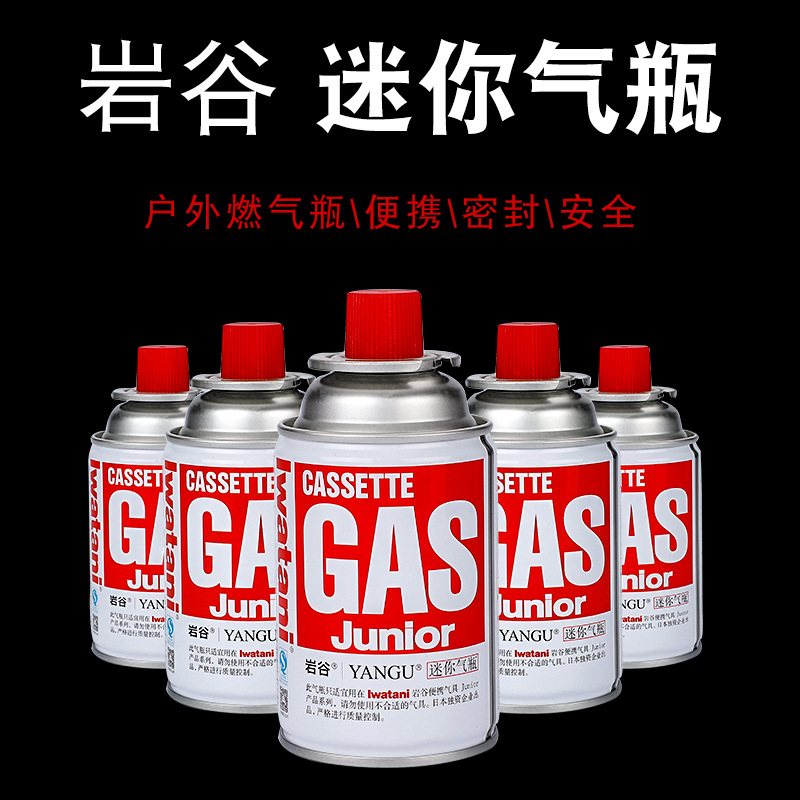 Портативный газовый баллон Rock Valley, 120г, для пикника