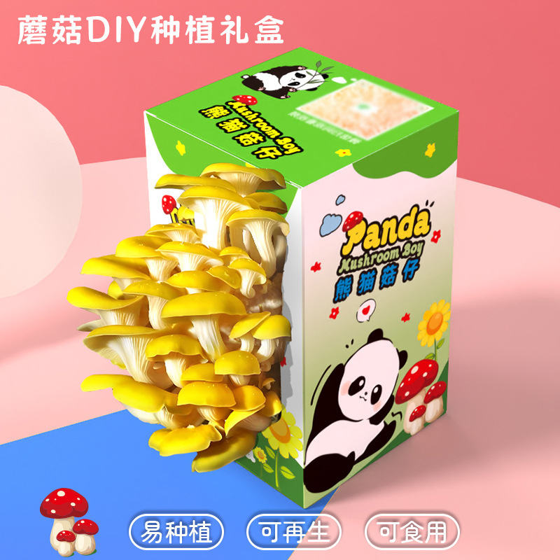 Mushroom Box Gift Box Oyster Mushroom Planting Package Edible Fungus Panda Green Plant Kindergarten Breeding Box Bagged Gift