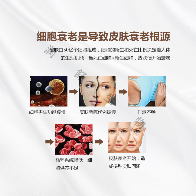 Exosome Water Light Kinetic Energy Beauty Salon Water Light Salmon Microcrystalline Introduction Anti-Wrinkle Firming and Lightening Essence