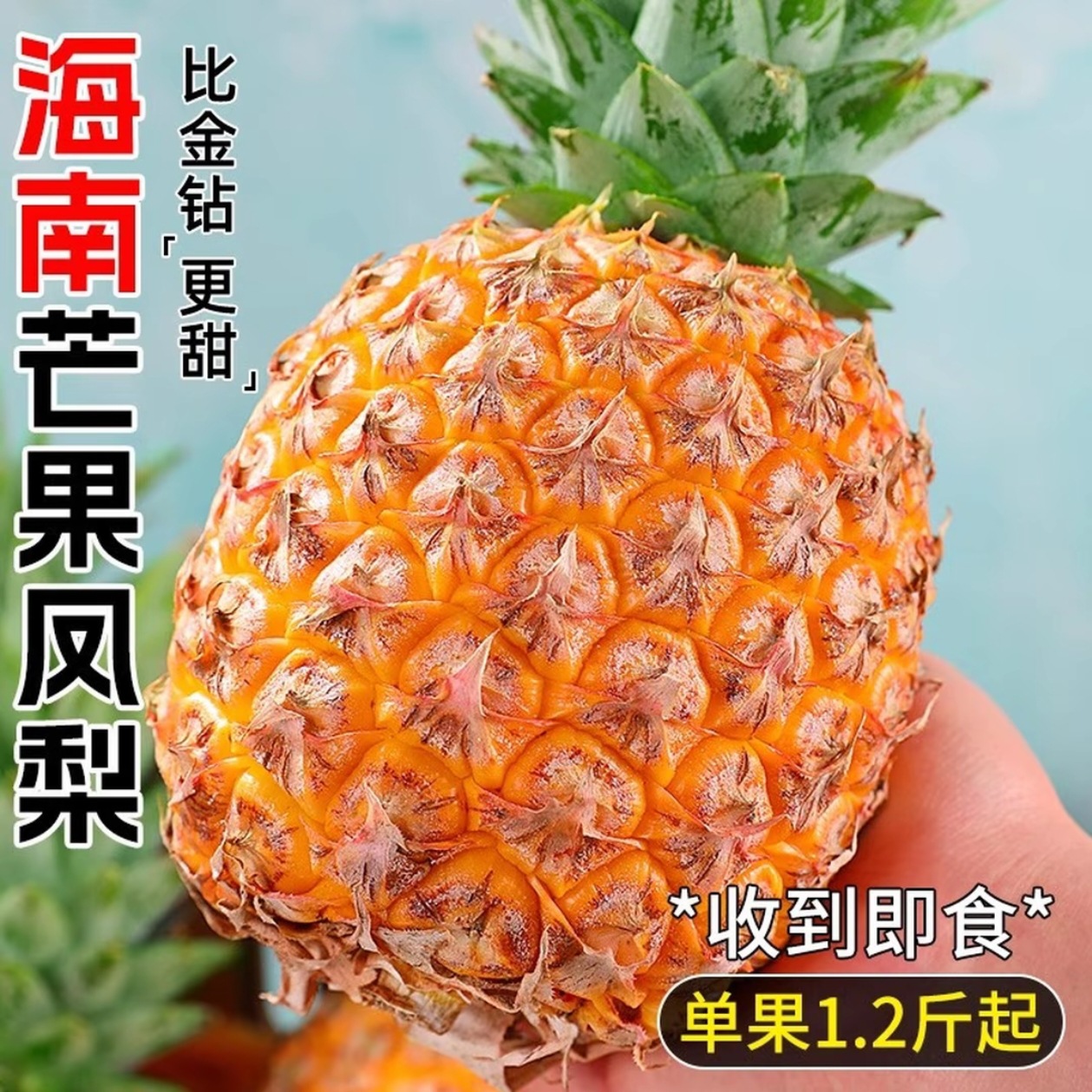 Ананас Хайнань Манго Тайчжун № 23 Вкус Манго Sf Express Садовый Сезонный Фрукт Свежесобранный Подарочная Коробка Один Шт Оптовая