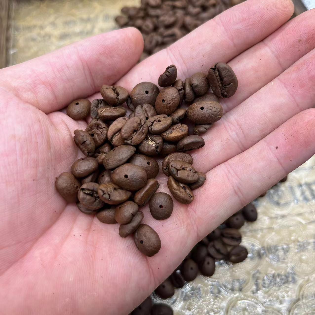 Punched Coffee Bean Semi-finished Products Wholesale Bracelet dly Accessories Coffee Bean Bracelet Handmade Coffee Bead Hand