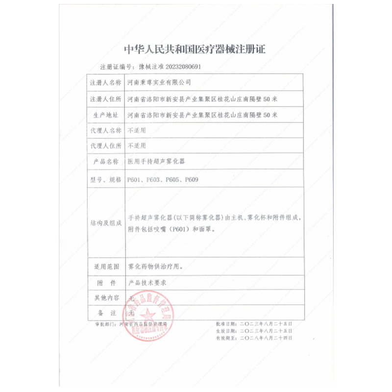 Portable Electric Ultrasonic Atomizer Household Medical Grade Mask Children's Medicine Adult Elderly Phlegm Electronic Atomizer