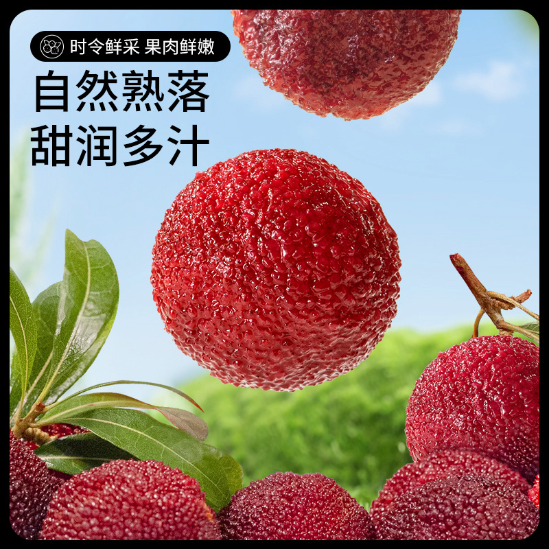 [three squirrels dried bayberry 500g] selling dried fruit, cold fruit and plum candied fruit snacks for children independently packaged