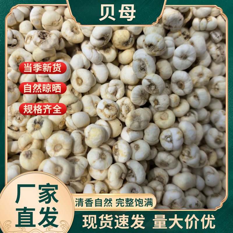 Плоская Фритиллярия оптовая продажа ломтики Фритиллярия Сычуань можно измельчить в порошок