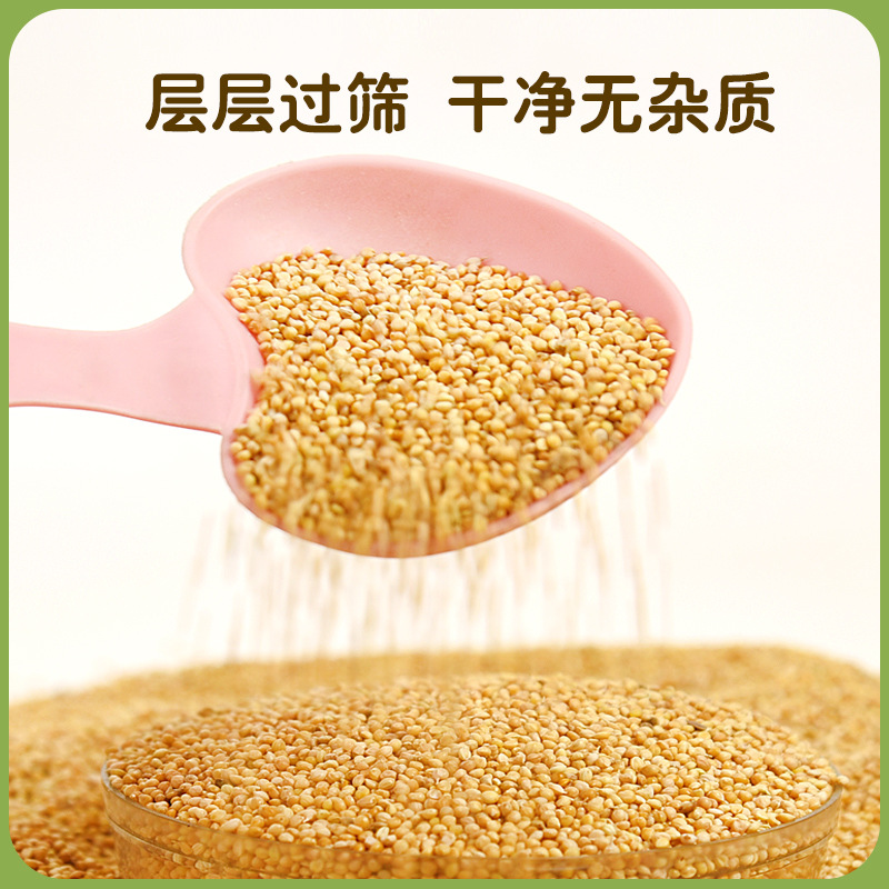 Bird food Bird food with Shell New yellow millet budgerigar Xuanfeng peony food feed with Shell millet parrot feed