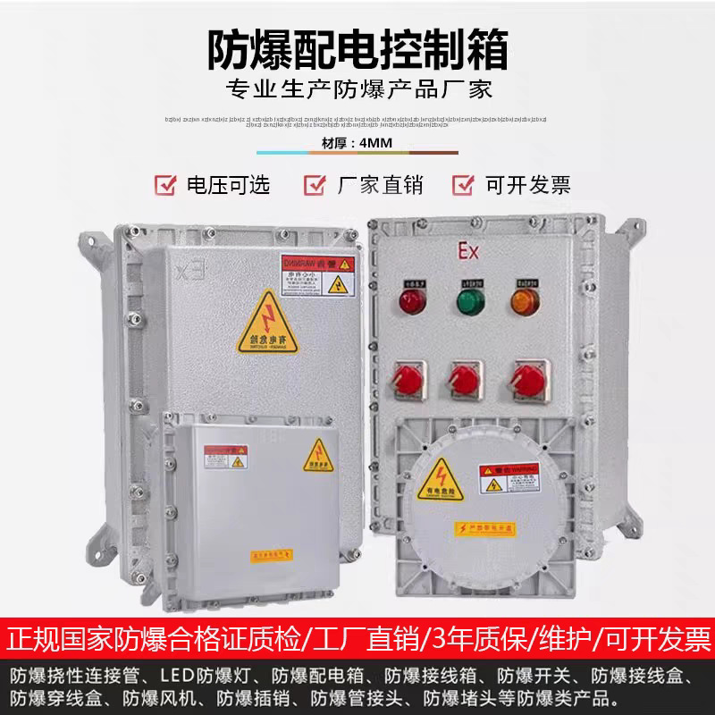 Explosion-Proof Distribution Box Power Lighting Maintenance Power Socket Instrument Switch Positive Pressure Control Terminal Block Operation Box