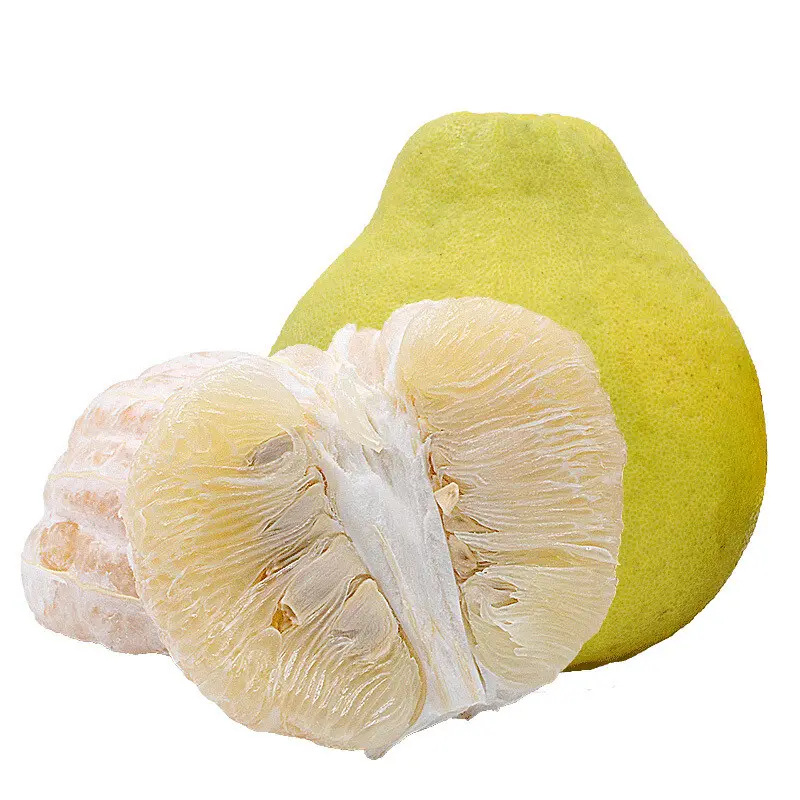 One-Piece Drop-Shipping Meizhou Shatian Pomelo Saplings for Northern and Southern Courtyards, Extra-Large Fruit Potted Grafted White-Heart Sweet Pomelo Saplings