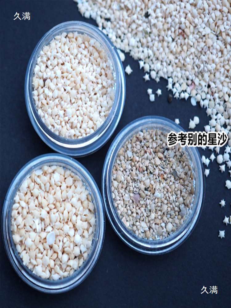 Sand Uv Glue Shell Conch Crafts Shell Conch Decoration Mini Sea Sand