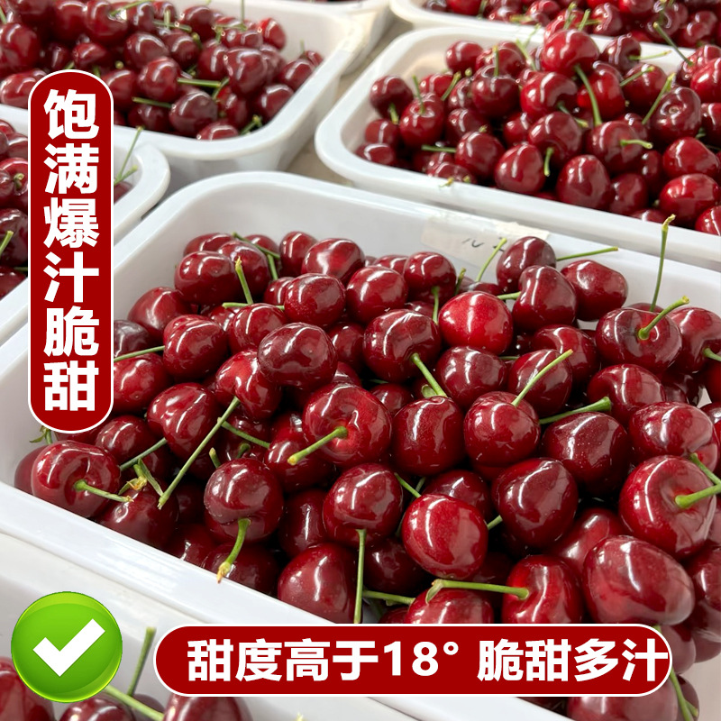 Shandong Meizhao Large Cherry Fruit Fresh Picked Cherry Large Seasonal Whole Box 2.5kg Fruit for Pregnant Women J