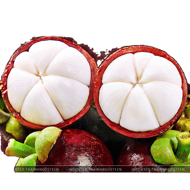 Fresh Thai Mangosteen Whole Box Seasonal Fruit Sf Express Free Shipping Seasonal Large Fruit Oil Mangosteen