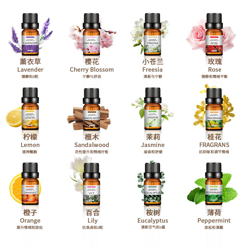 Cross-Border Water-Soluble Aromatherapy Essential Oil 12 Pieces Commonly Used Aromatherapy DIY Essential Model Manufacturer Wholesale 10ml *12