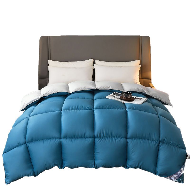 Foreign Trade Home Textiles Duvet Spring & Fall Quilt Core Winter Quilt Thickeneded Warm Single and Double Student Quilt Winter Quilt