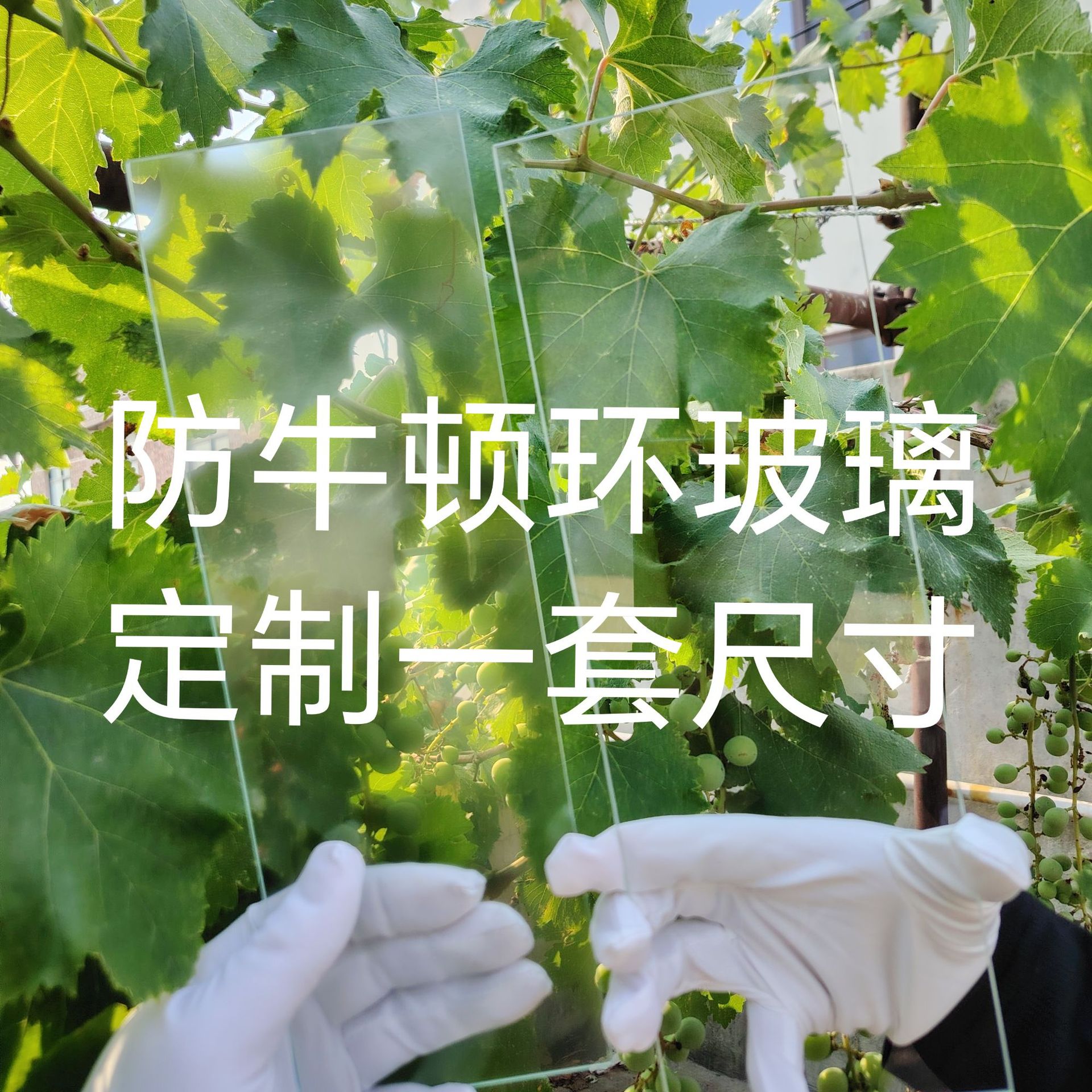 Source Manufacturer of Photoelectric Glass Anti-Newton Ring Universal Scanner Instrument for Large Format Picture Frame Frosted Processing