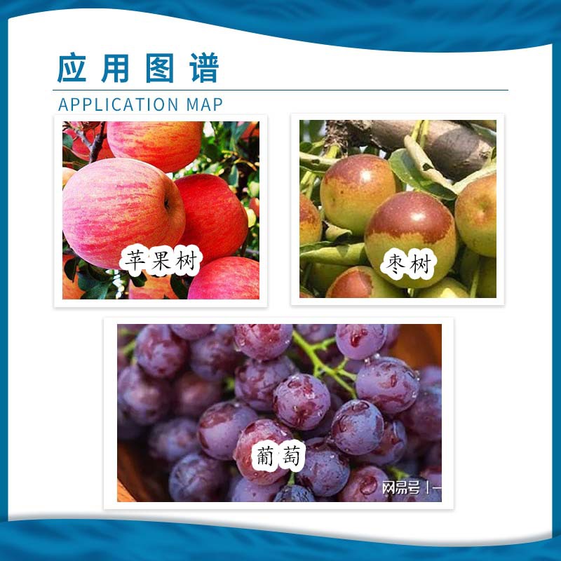 Baomeiling 3.6% Benzylaminopurine A4·A7 Gibberellic Acid Fruit-Setting Regulator for Grape and Jujube Trees, Imported Raw Materials