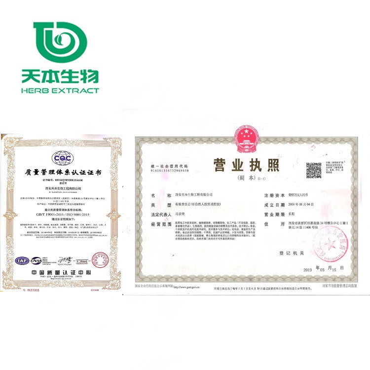 Xi'An Tianben Sc Manufacturer Maca Extract 10:1 Yellow Maca Powder Maca Extract Natural Raw Material Extraction