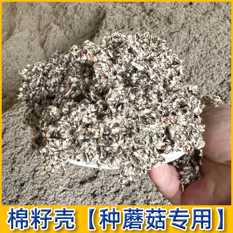 Lime Powder, Oyster Mushroom, Soybean Meal, Wheat Bran, Cottonseed Shell Raw Material, Corn Cob Special Disinfection Culture Medium for Mushroom Cultivation