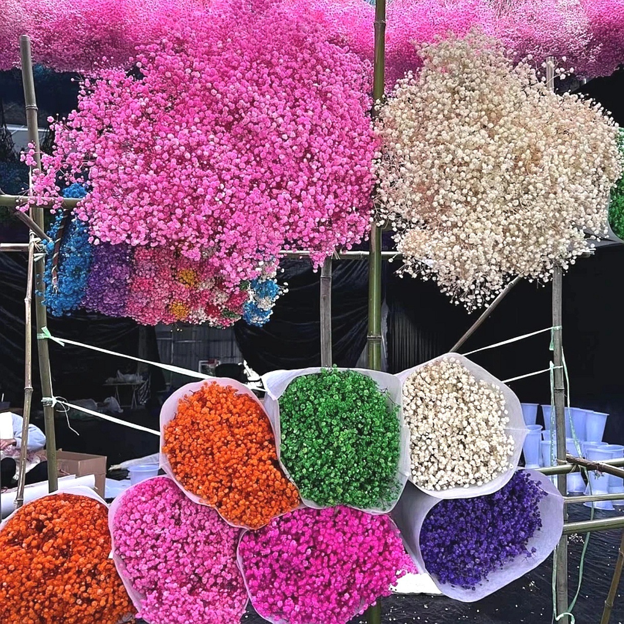 Gypsophila Eternal Flower Dried Flower Bouquet Yunnan Factory Direct Sales Handmade DIY Wholesale Cross-Border Flowers Hot Selling