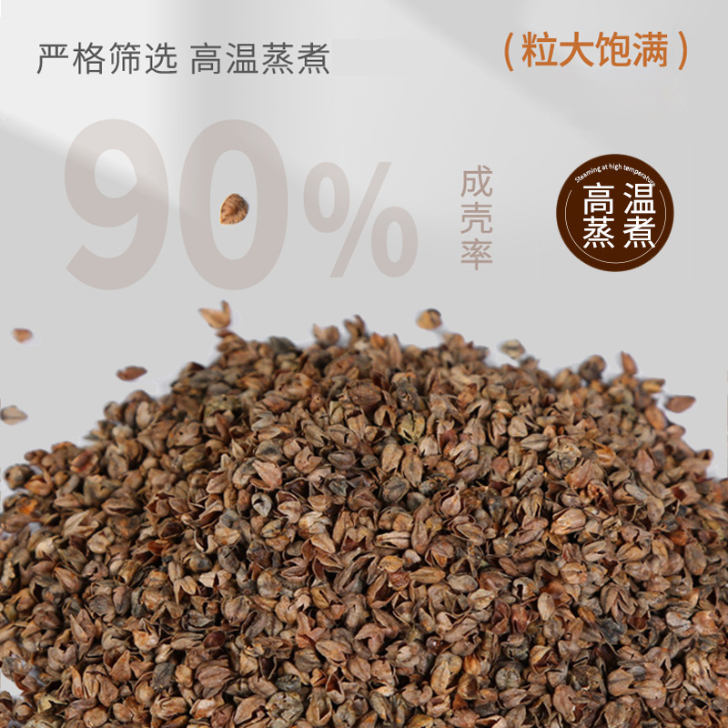 Whole Buckwheat Shell Pillow, Cervical Spine Sleeping Pillow Core, a Pair of Household Adult Cassia Seed Hard Pillows, Single Buckwheat Pillow