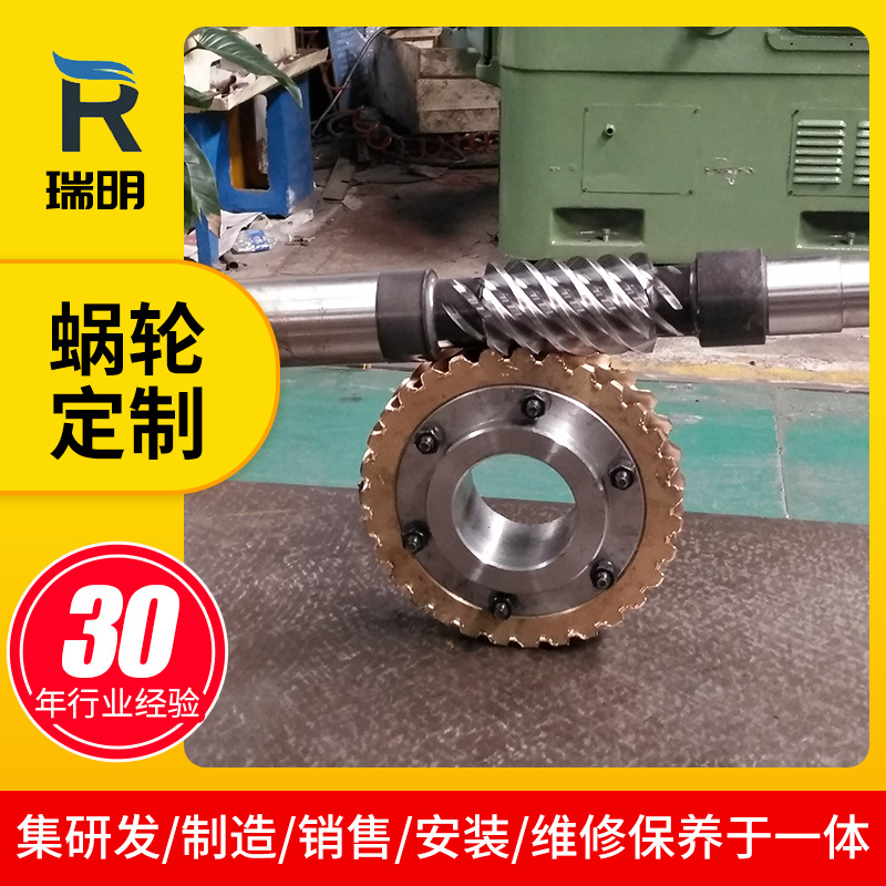 Ruiming reducer manufacturer produces precision double lead worm pair CNC lathe worm gear worm