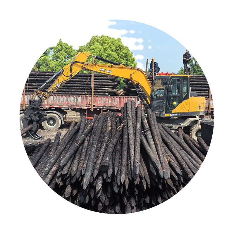 Cunninghamia lanceolata pile anti-corrosion log flood control piling pile garden landscape greening support rod various specifications manufacturers straight hair