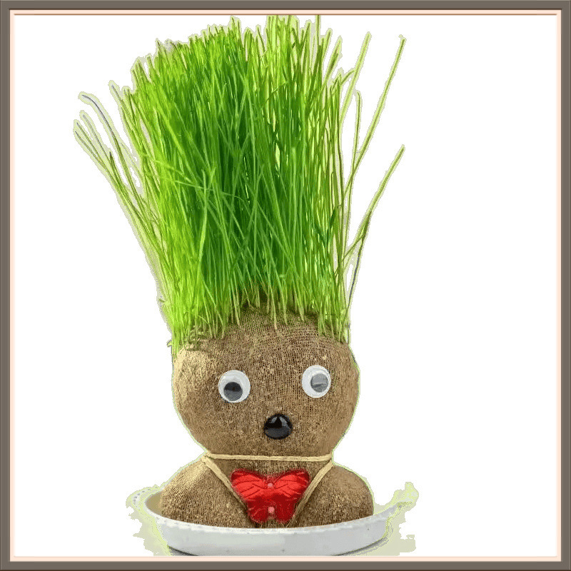 Long Doll Head Doll Creative Small Potted Desktop Cute Plant Fun Doll Office Children Hydroponics