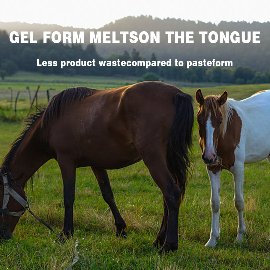Amazon Hot Sale in stock Gel Horse Repellent-Apple Flavor Paste-Effective Parasite Worms Pinworms