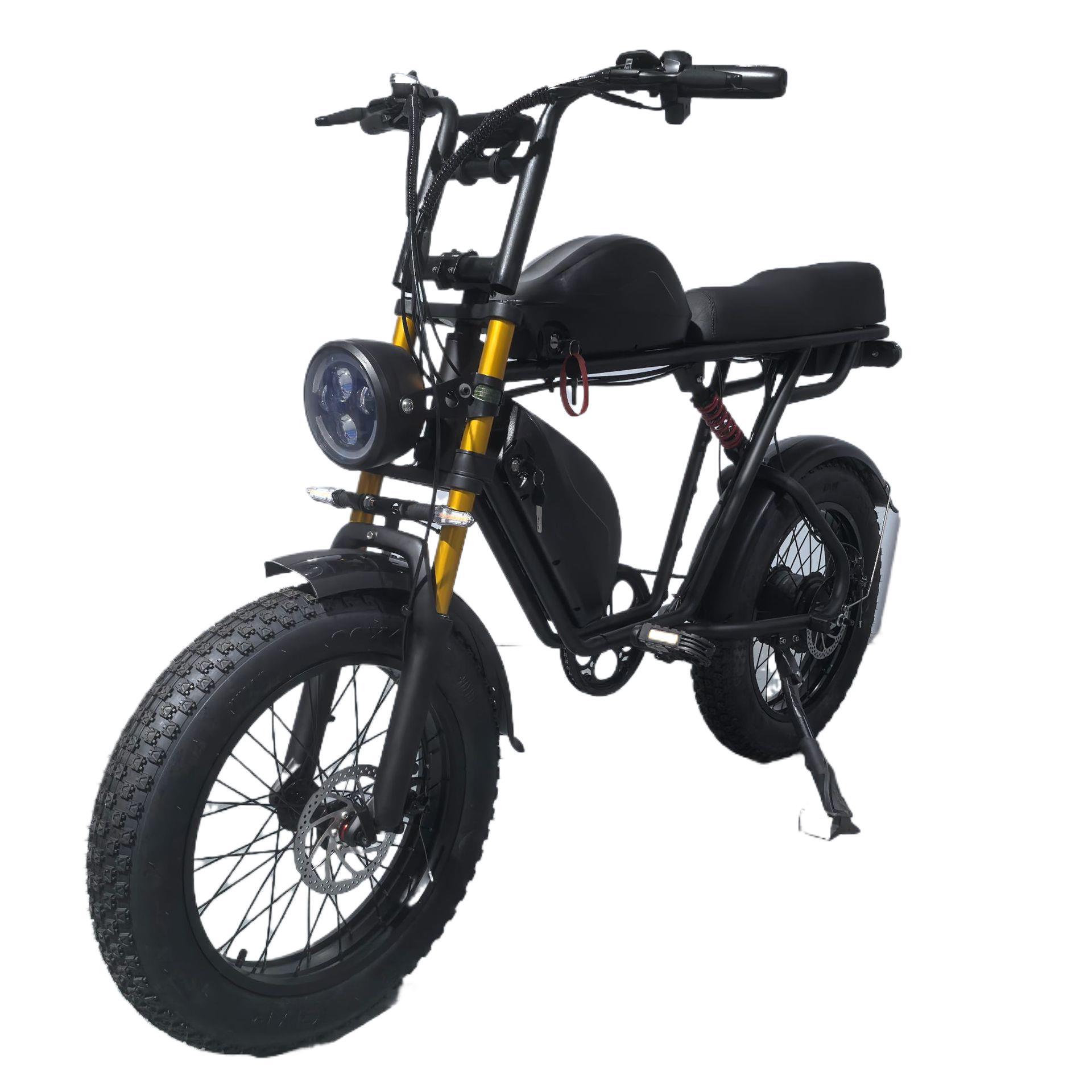 Manufacturer Batch 20inch Electric Bicycles, Snowmobiles, Wide Tires, Dual Battery Electric Assist Electric Motorcycles
